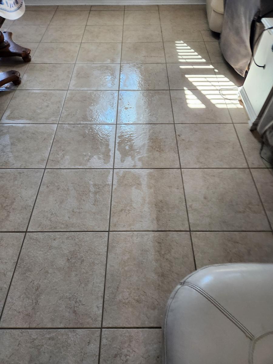 close-up of wet tiles with dirty grout lines