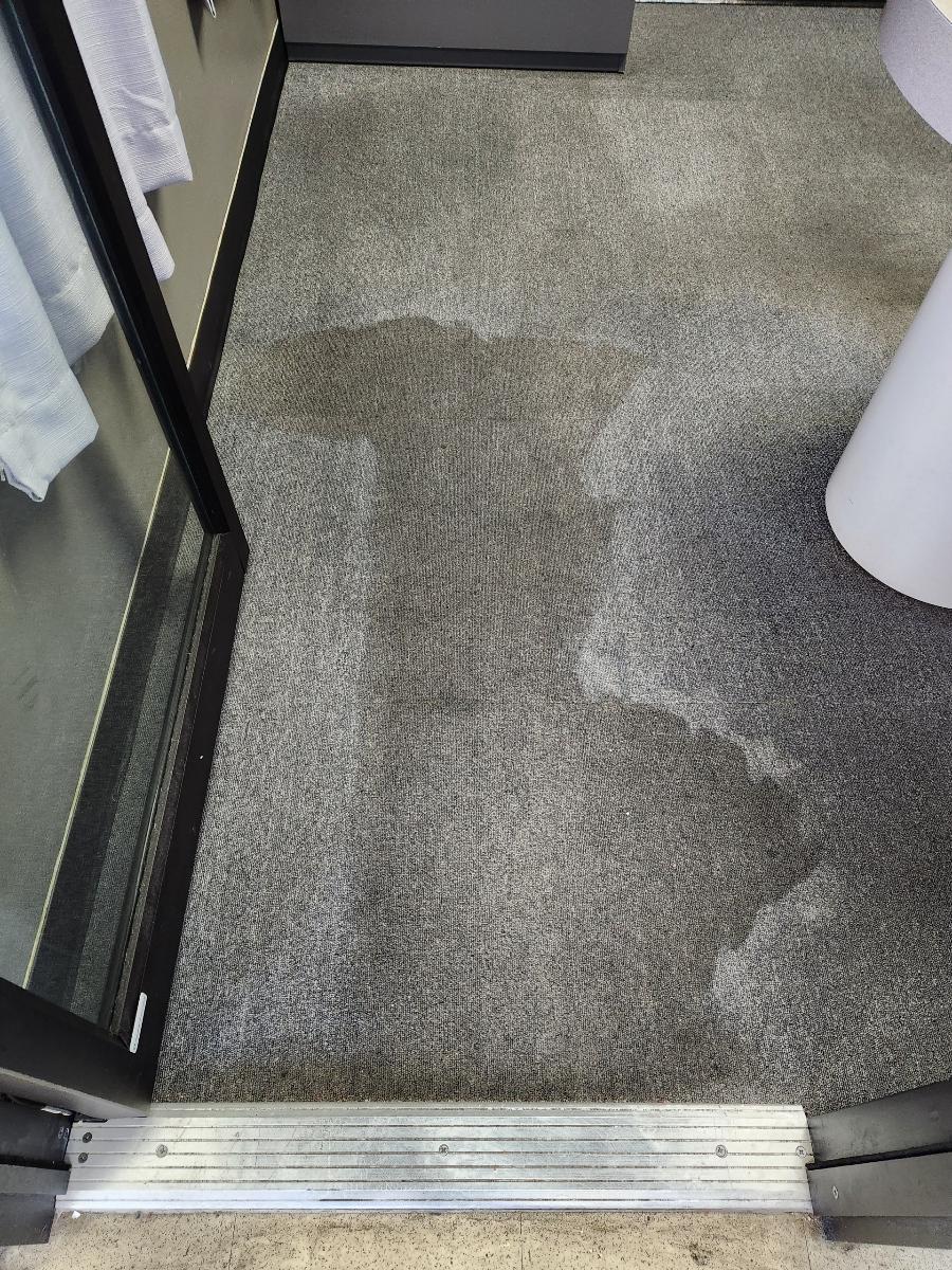 close-up of a carpeted floor with moisture-related damage