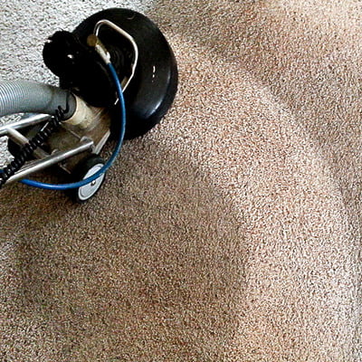 carpet cleaning by steambrite cleaning services