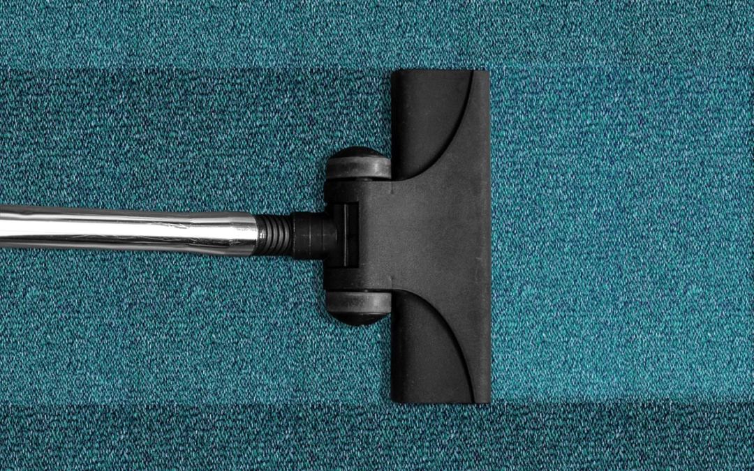 Professional Carpet Cleaning Vs. DIY: Which Is Better?
