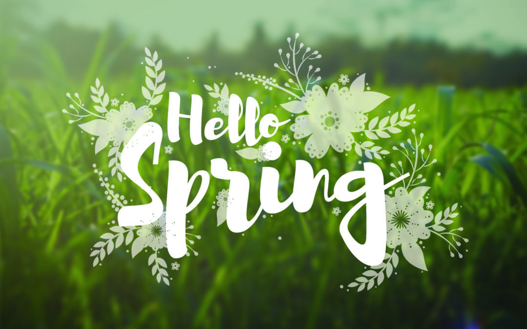 Spring Cleaning Carpet Advice