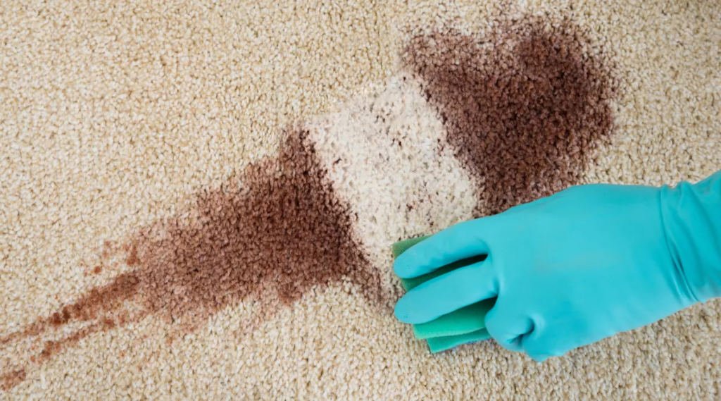 get rid of carpet stains
