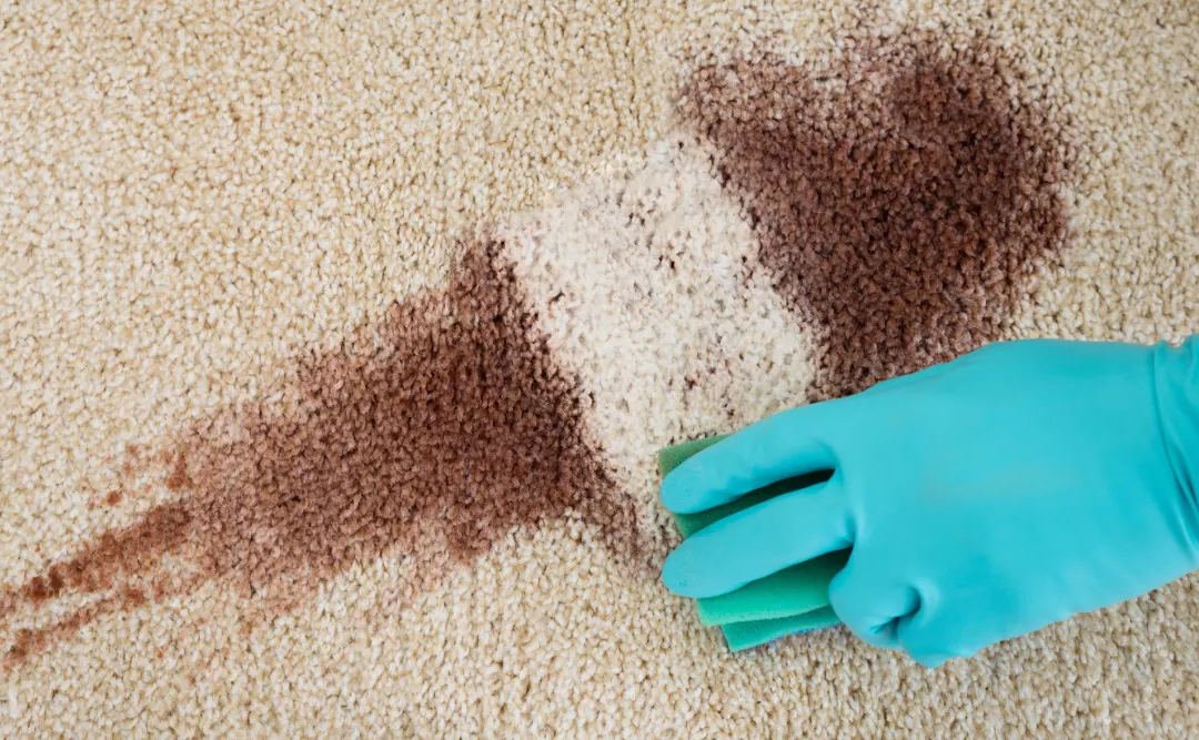 How to Remove Common Carpet Stains