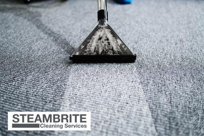 How Long Does It Take for Carpet to Dry After Cleaning?