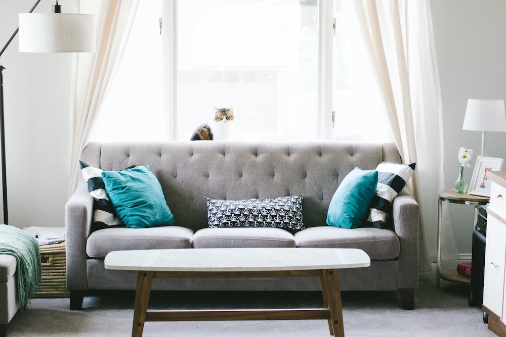 Ultimate Guide to Revitalizing Your Furniture: Expert Tips for Effective Cleaning