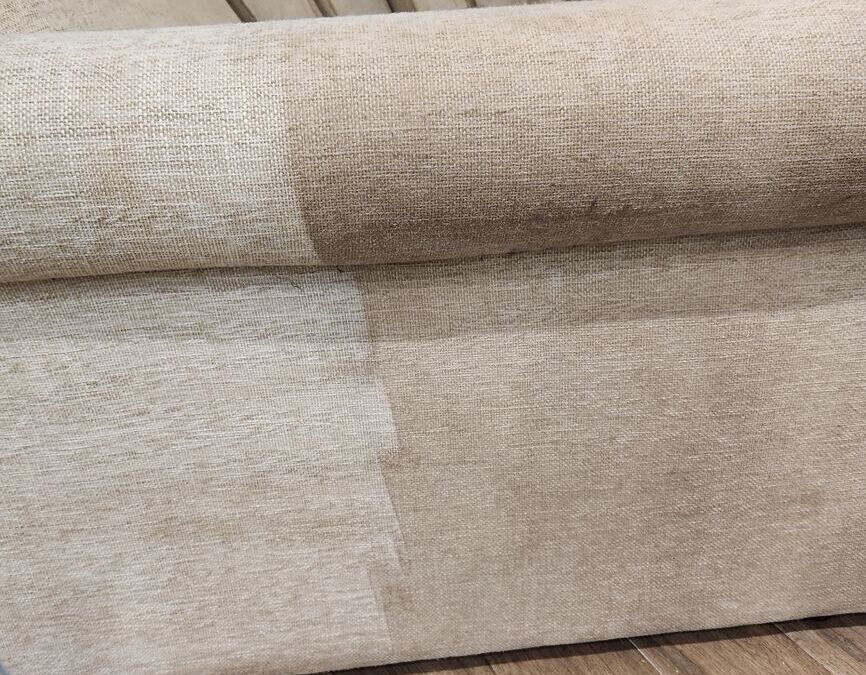 Beyond Clean: Navigating Sofa Cleaning in East Lake