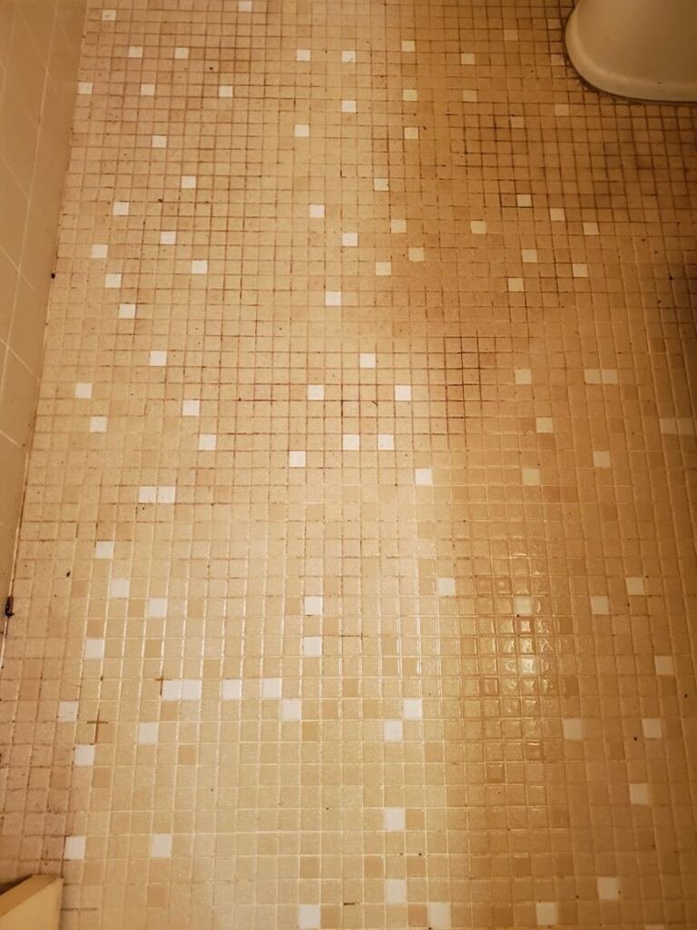 A bathroom before tile and grout cleaning