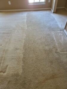  A wool carpet during cleaning