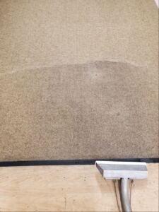  Wool rug cleaning equipment on a beige carpet