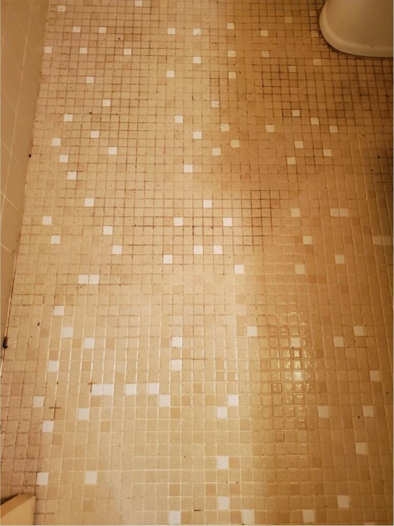 Golden tiles in need of professional tile cleaning