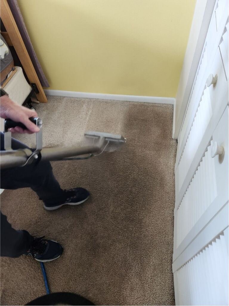 Person vacuuming a carpet
