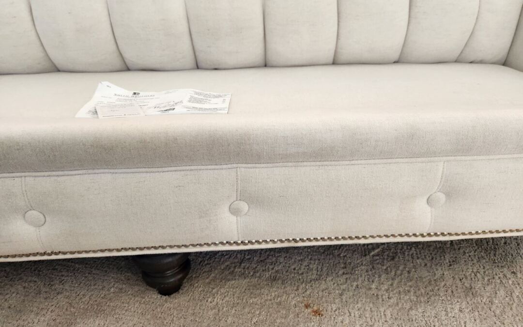 Trinity’s Best-Kept Secret: Professional Sofa Cleaning Services