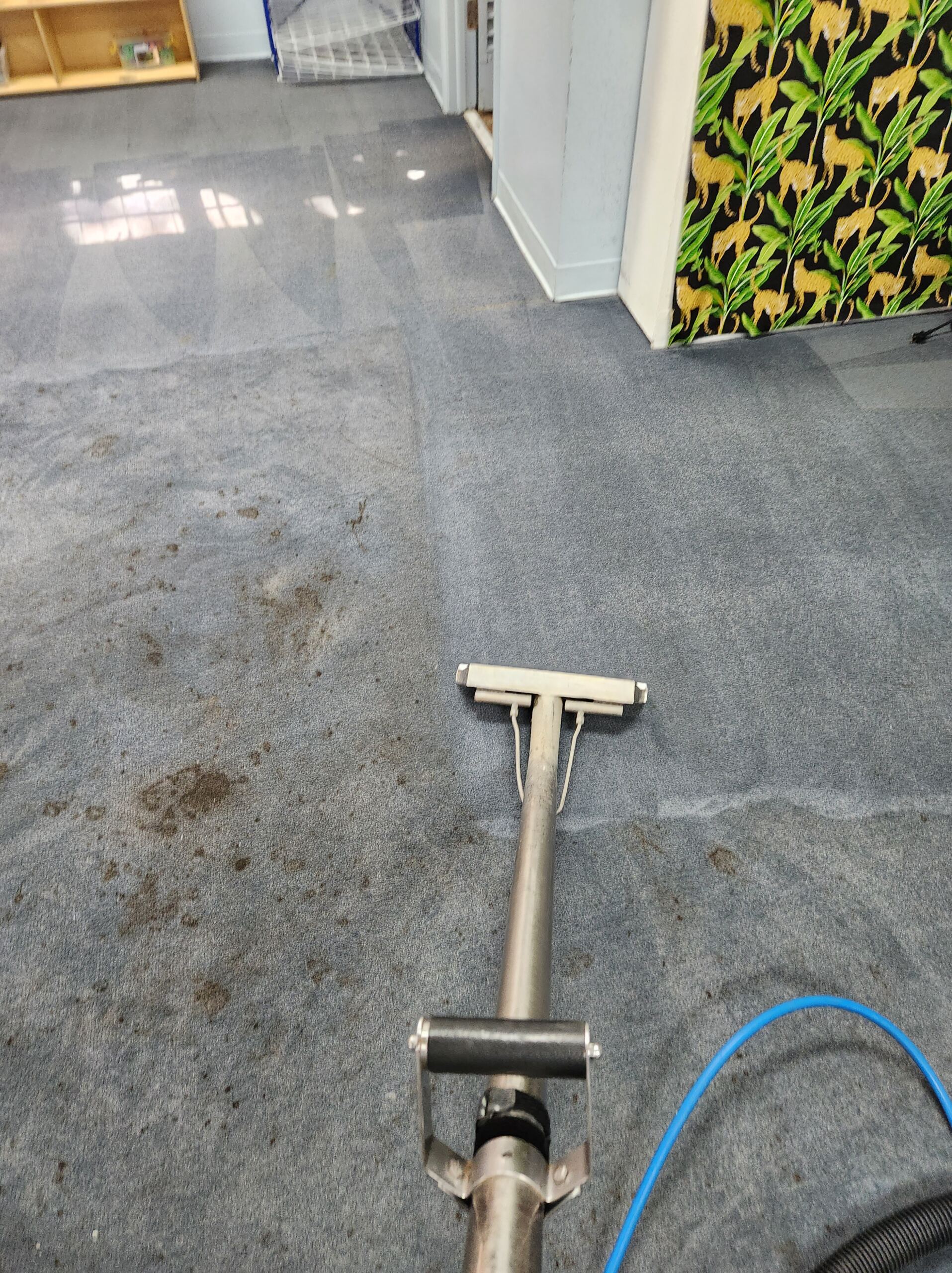 A carpet cleaning procedure