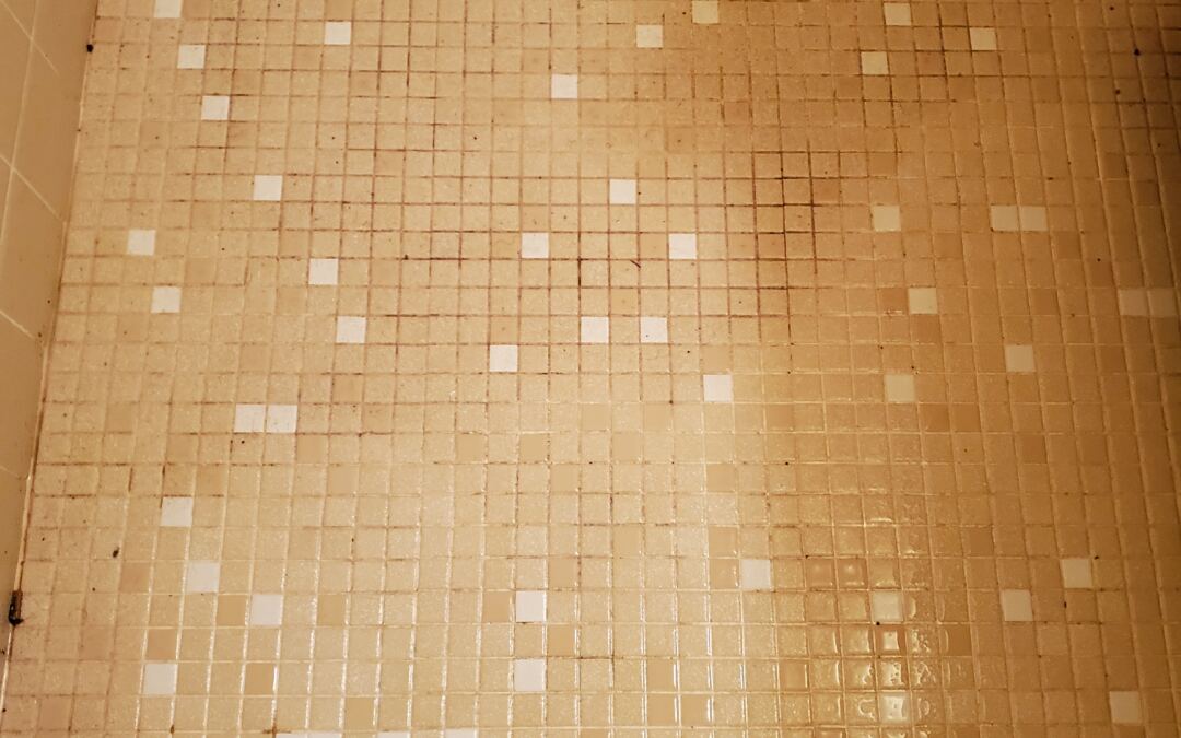 Here Are 5 Mistakes You’re Making with Tile and Grout Cleaning in Palm Harbor!