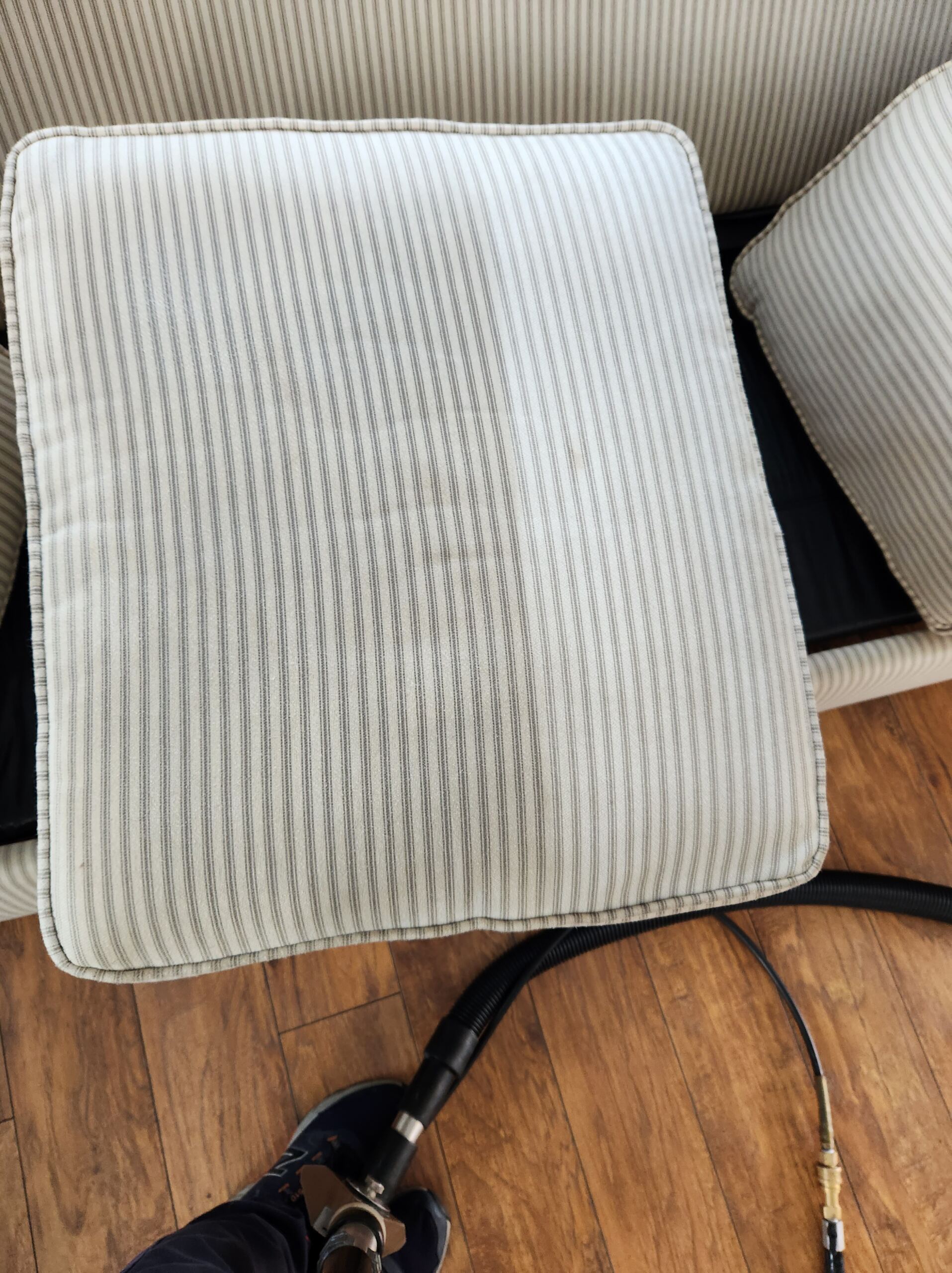 Close-up of a sofa cushion dismantled for cleaning