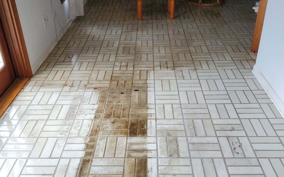 Essential Tips for Maintaining Ceramic Tiles in Palm Harbor Kitchens
