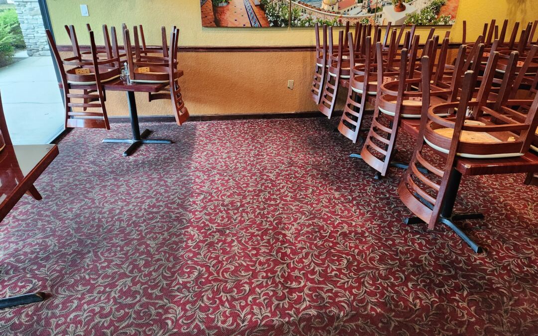 Why Professional Carpet Cleaning is Essential for Palm Harbor Homes