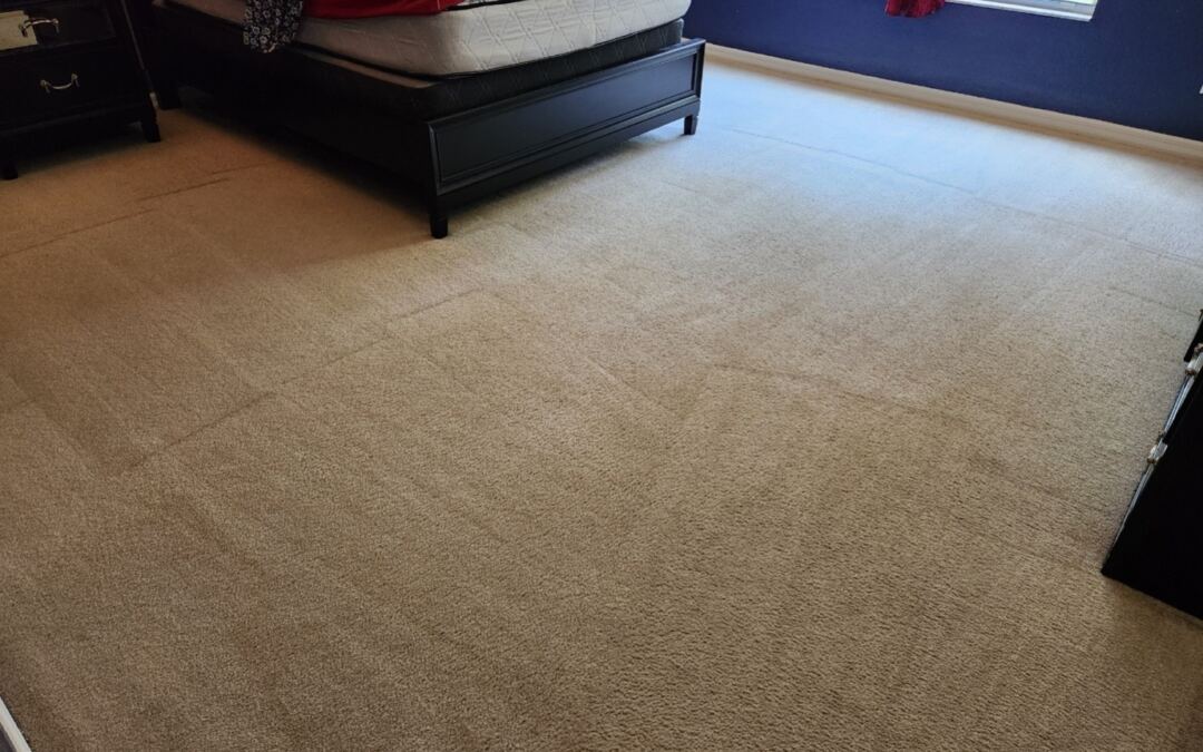 5 Surprising Benefits of Professional Carpet Cleaning for Your Home