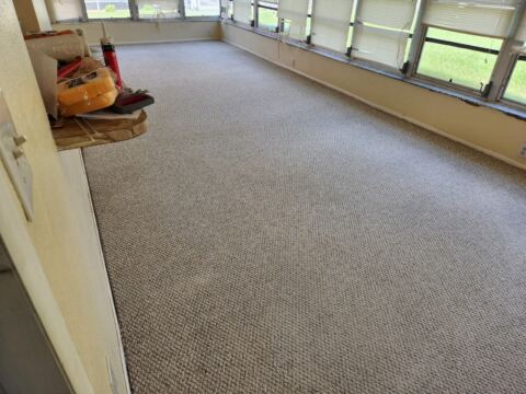 The results of a professional carpet cleaning procedure 