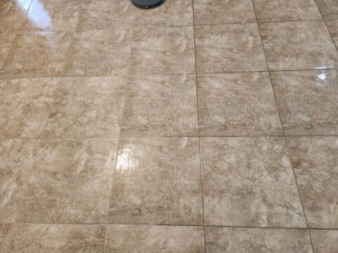 Brownstone tiles after professional cleaning