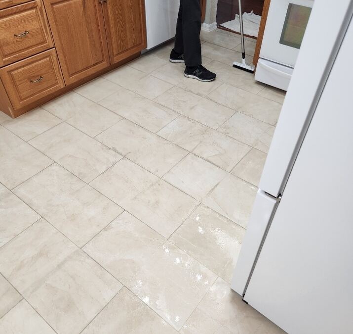 Top Reasons to Invest in Tile Cleaning for Your Trinity Home