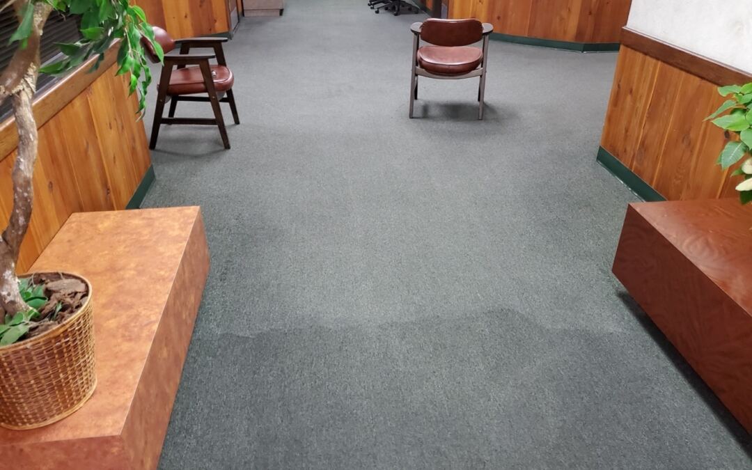 Carpet Steam Cleaning vs. Traditional Cleaning: Which Is Better for Your Home?
