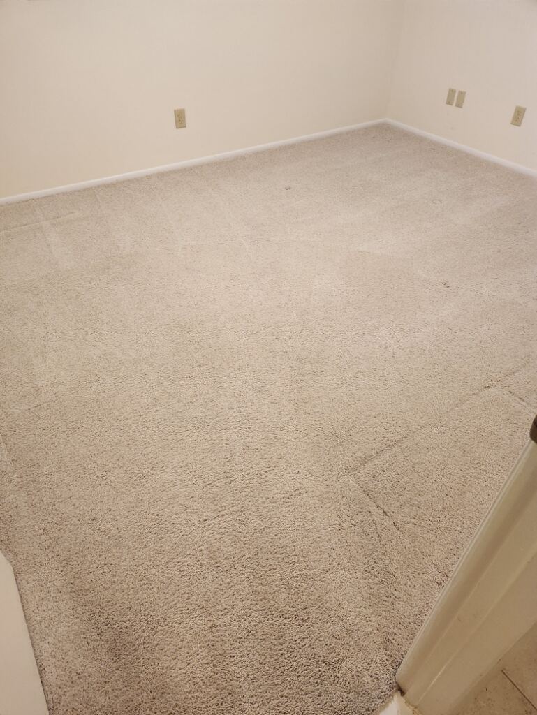 A room after cleaning of a carpet