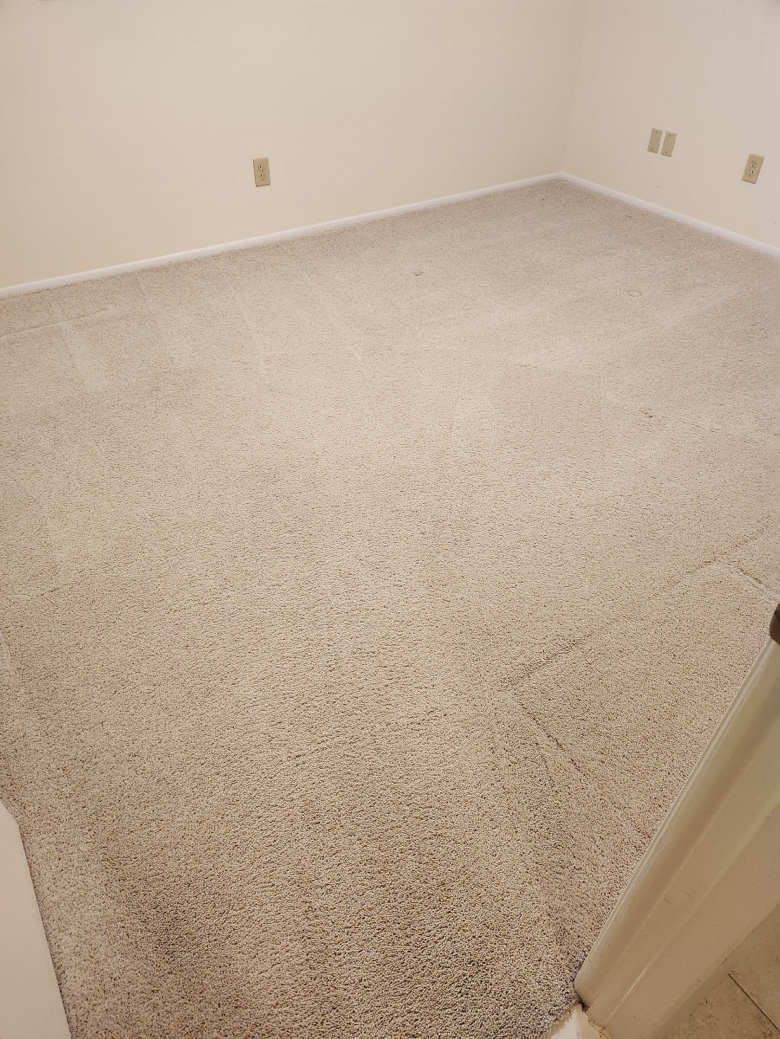  A room after carpet cleaning by professionals 