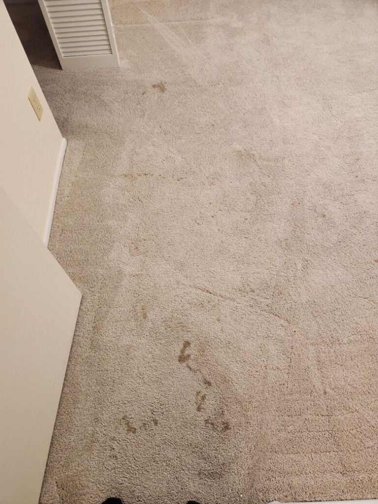 A dirty carpet before professional cleaning