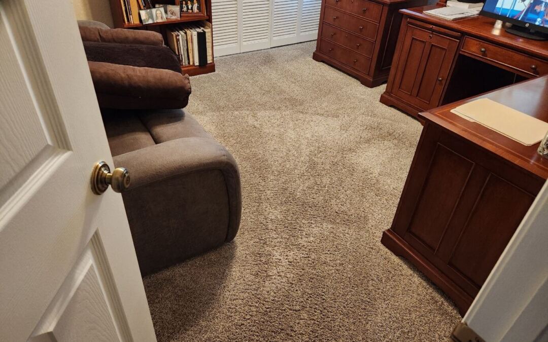 Comprehensive Guide to Commercial Carpet Cleaning for Businesses