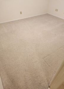 Commercial carpet cleaning in Clearwater using the latest equipment