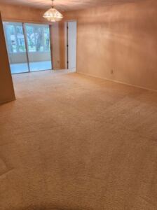 Professionally cleaned commercial carpet in a business space