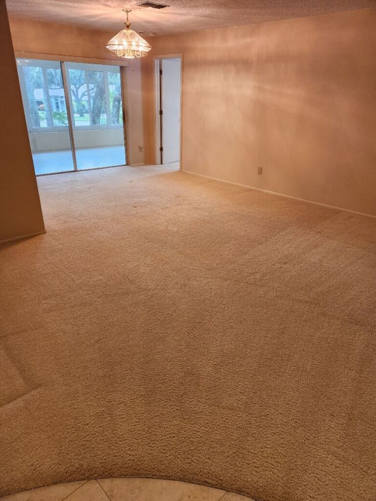 A freshly-cleaned carpet in a house
