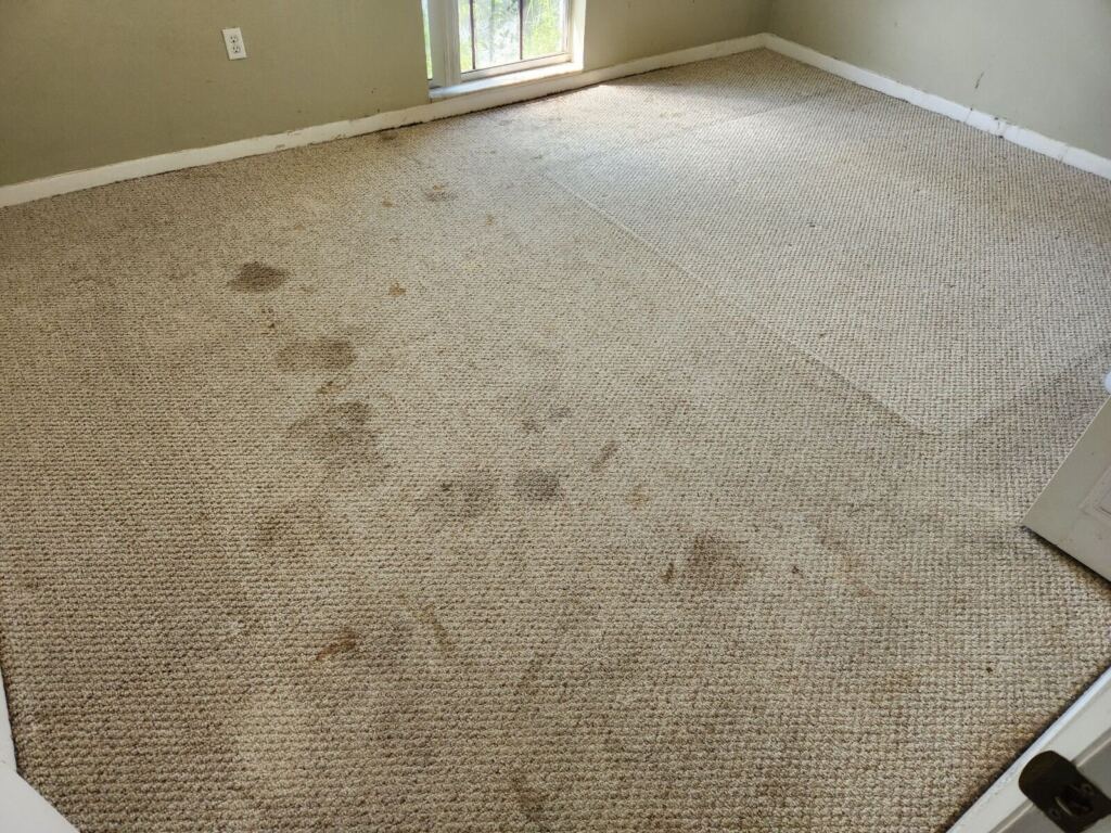 A dirty carpet before professional cleaning