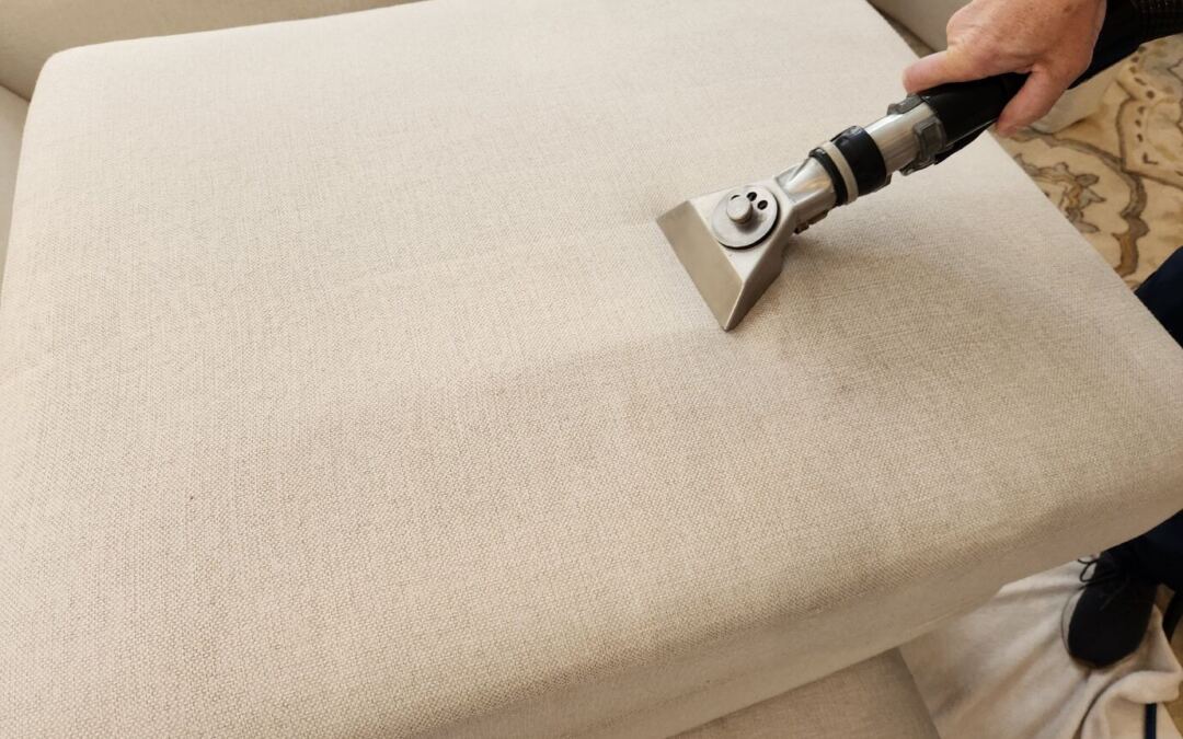 Clearwater’s Expert Sofa Cleaning Tips for Homes and Businesses
