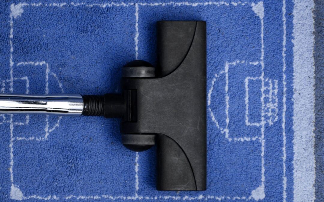 Top Reasons to Hire a Professional Carpet Cleaner in Clearwater