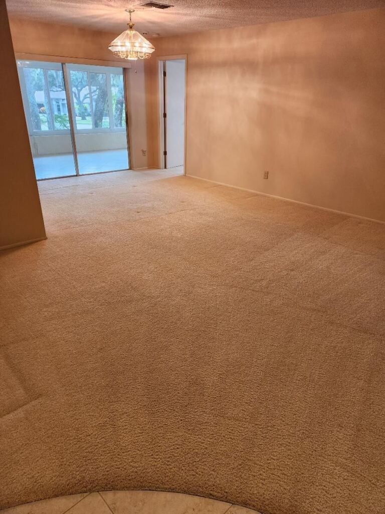 A professionally cleaned carpet treated for stains