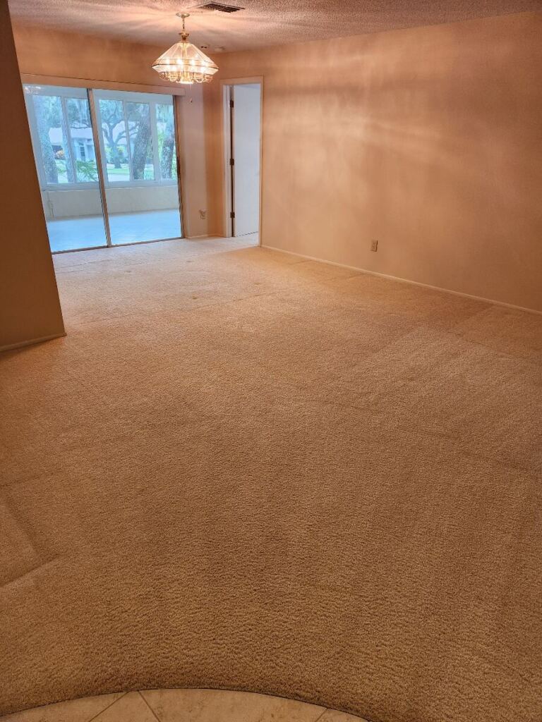 A professionally cleaned carpet