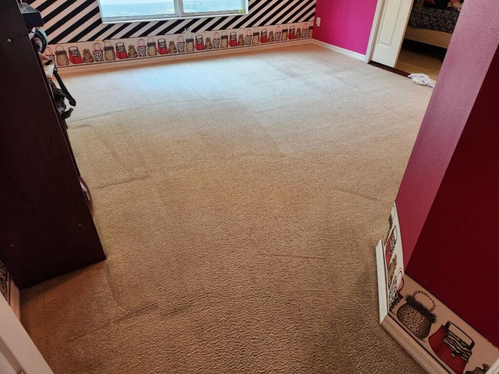 An image of a freshly cleaned carpet