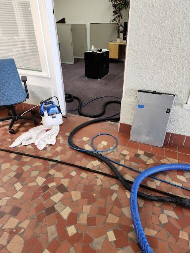 professional equipment for carpet cleaning