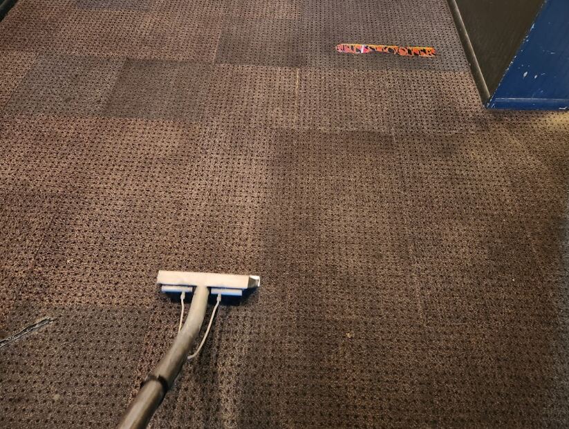 On-going carpet cleaning in Clearwater by Steambrite Cleaning Services.