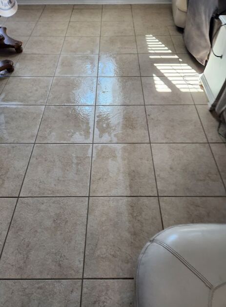 tile floor maintenance in Palm Harbor by Steambrite Cleaning Services.