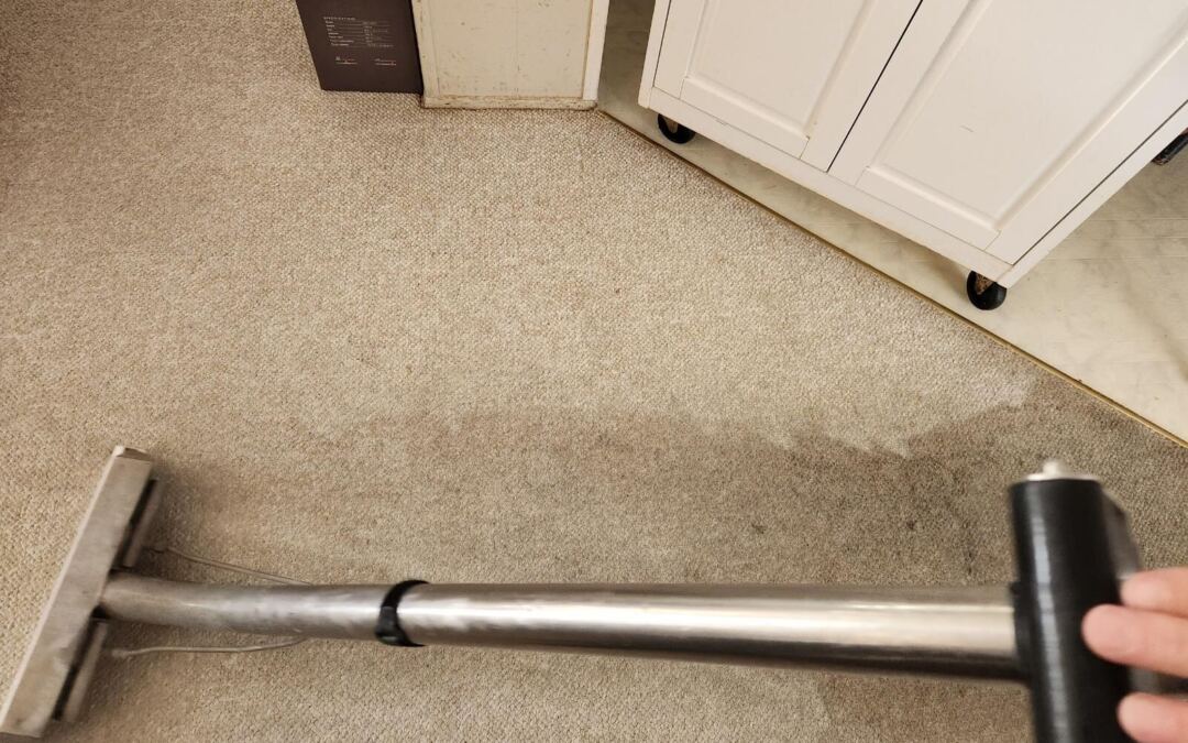 AI-Powered Soil Mapping: How Clearwater Offices Slash Carpet Maintenance Costs by 40%
