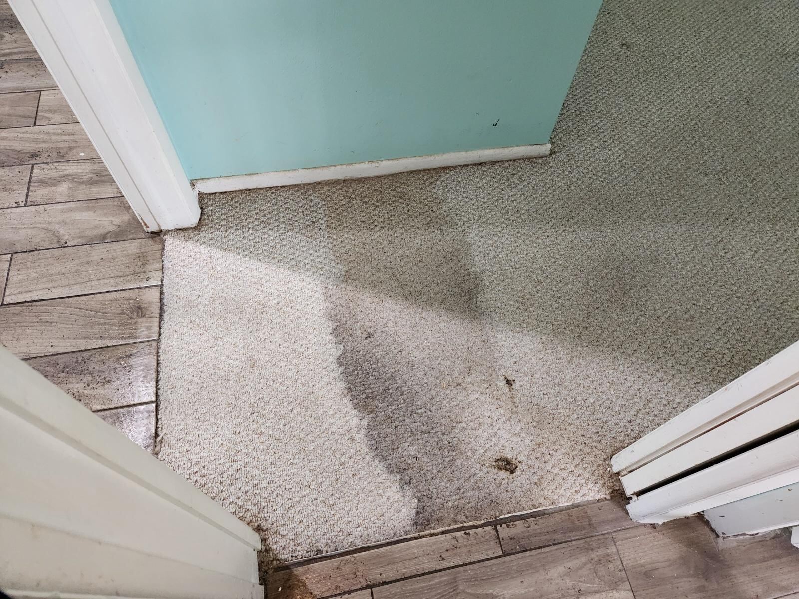 Dirty carpet in a hallway shows a clearly cleaned section after carpet cleaning.