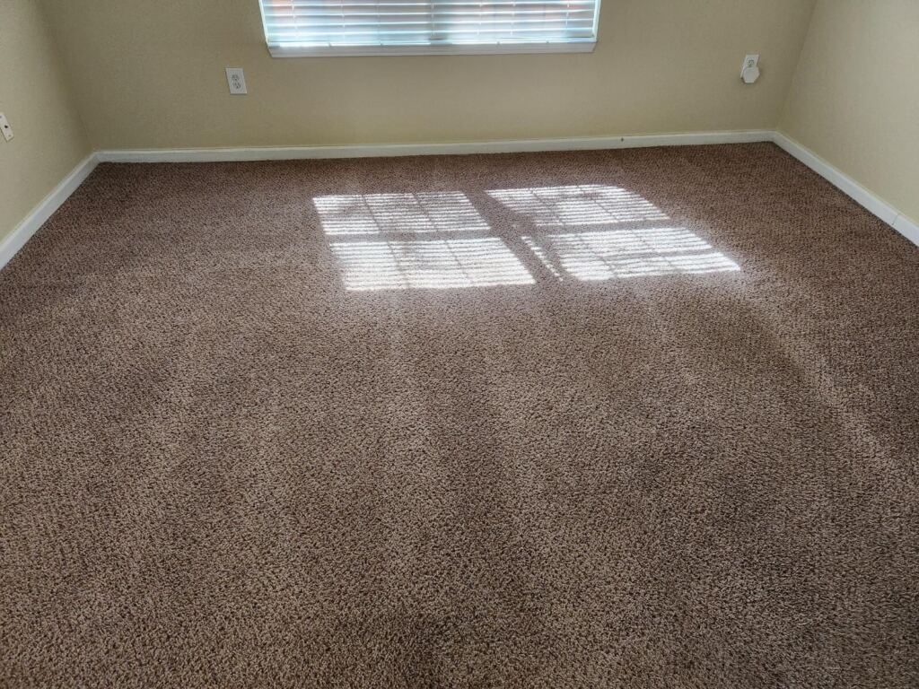 Sunlight shines on freshly cleaned carpet in an empty room