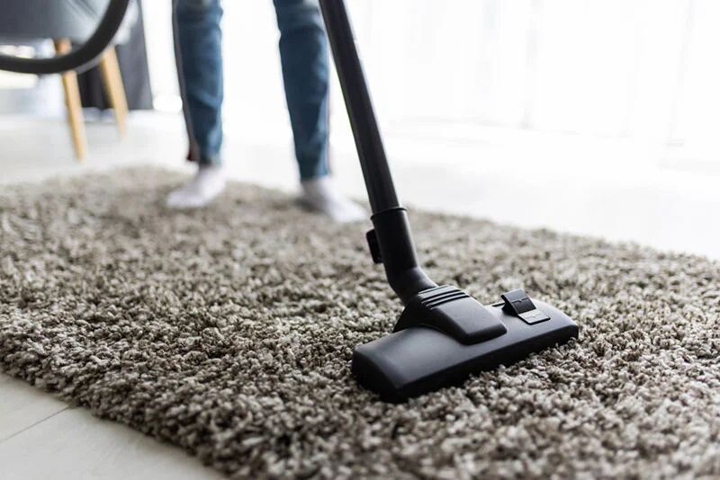 Person vacuuming a thick, shaggy gray carpet in a bright room.