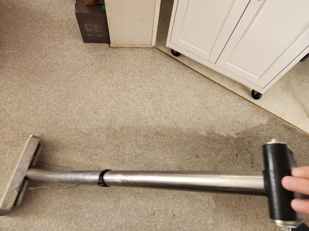 The image shows a light carpet being cleaned with a vacuum. 