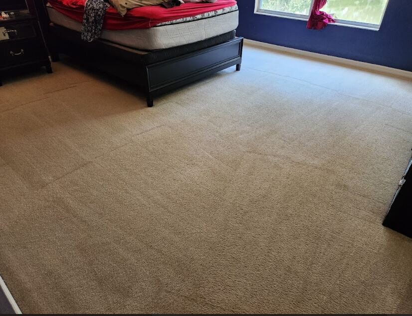 On-going carpet steam cleaning in Clearwater, FL.