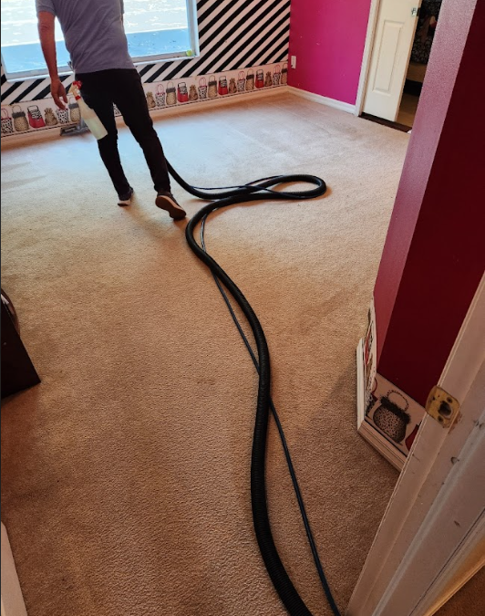 The Hidden Dirt in Your Carpet: Why Steam Extraction Matters