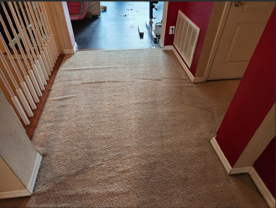 Carpeted floor with consistent texture and color.